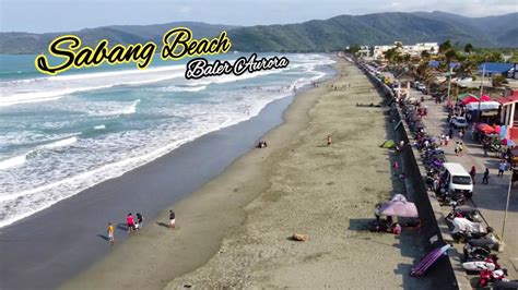 sabang baler beach resort.